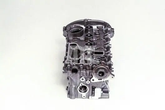 AMC Cylinder Head (With Valves, Spring, & Screw) - Volkswagen / Audi / SEAT / SKODA 2.0 Turbo