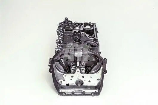 AMC Cylinder Head (With Valves, Spring, & Screw) - Volkswagen / Audi / SEAT / SKODA 2.0 Turbo