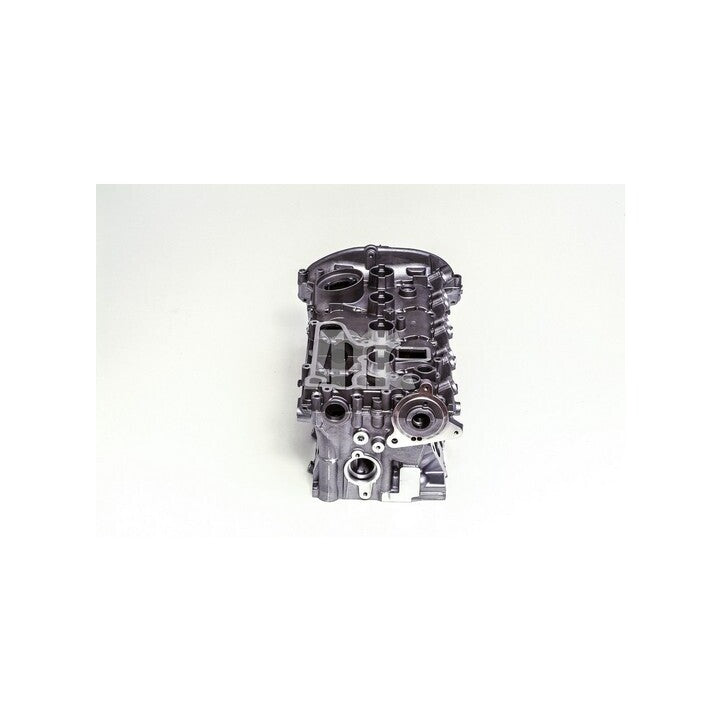 AMC Cylinder Head (With Valves & Spring) - Volkswagen / Audi / SEAT / SKODA 2.0 Turbo