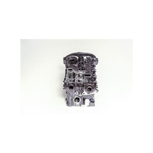AMC Cylinder Head (With Valves & Spring) - Volkswagen / Audi / SEAT / SKODA 2.0 Turbo